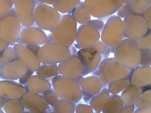 Materiale composito in marmo e resina trasparente