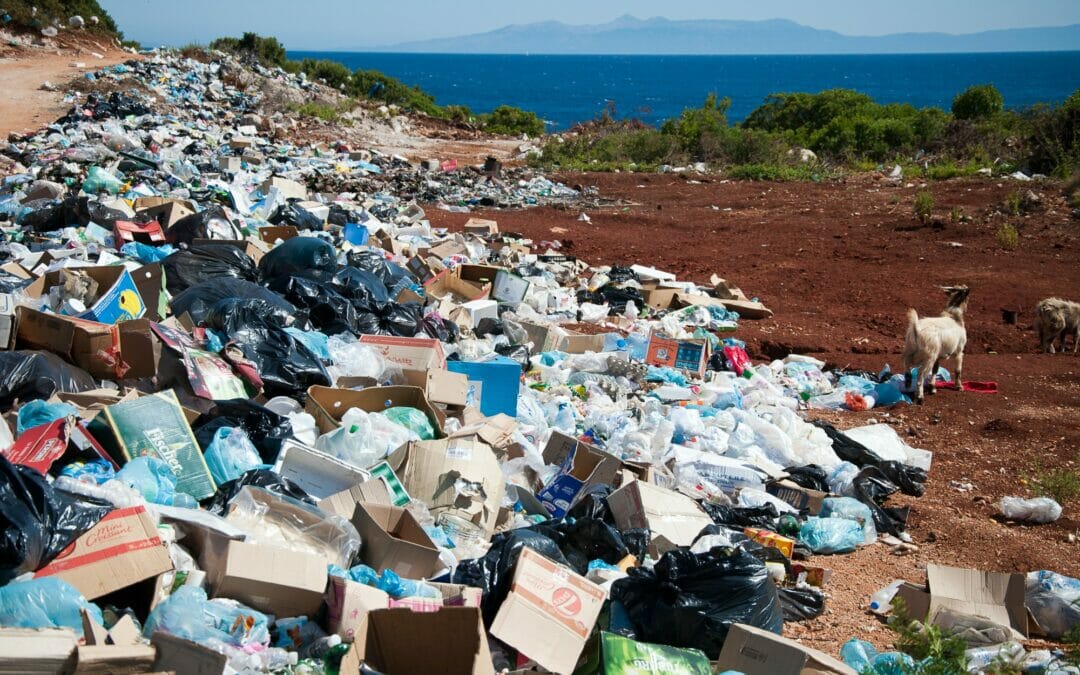 Tecnologie di riciclaggio dei polimeri 2020-2030, opzioni di fine vita per i rifiuti di plastica: strumenti, tendenze e mercati