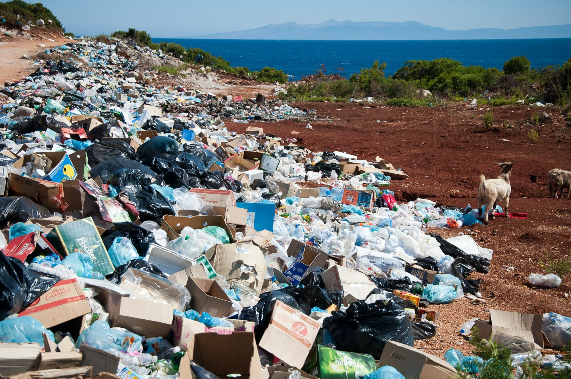 Tecnologie di riciclaggio dei polimeri 2020-2030, opzioni di fine vita per i rifiuti di plastica: strumenti, tendenze e mercati